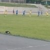 Чемпіонат м.Києва з футболу серед збірних команд ВНЗ