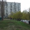 Весняна толока