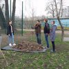 Весняна толока