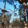Закінчився курс практичних занятть з дисципліни 
