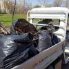 Весняна толока в парку «Наталка»