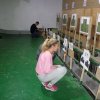 Заняття з тактичної підготовки за темою «Озброєння та бойова техніка родів військ Сухопутних військ України» 