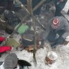 Виїзні заняття в рамках дисциплін 
