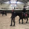 Психологічні основи фізичної реабілітації