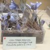 Виїзне заняття до Національного науково-природничого музею НАН України