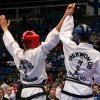 VIII Міжнародний чемпіонат з таеквон-до 