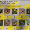 Виїзне заняття до парку «Голосіївський»