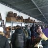 Виїзне заняття з дисципліни «Екологічний туризм»