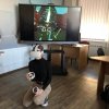 Навчальне заняття з дисципліни «Нормальна анатомія людини»