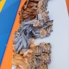 Організаторська та волонтерська участь у відкритому турнірі з дзюдо